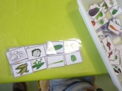 P1640321.jpg