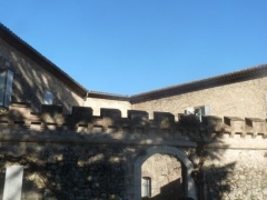 P1590168.jpg