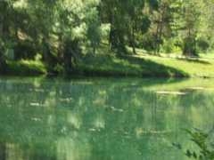 DSCF4324.JPG