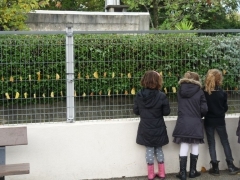 feuilles.jpg