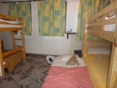 DSC08194.JPG