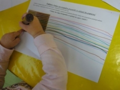 P1470764.jpg