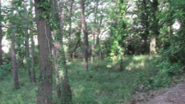 IMG_3973.JPG