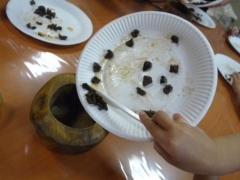 P1500806.jpg