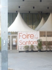 P1630537.jpg