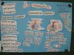 20140312_112227_resized.JPG