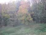 IMG_0077.JPG