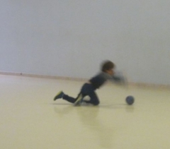 P1570685.jpg