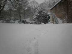 PC011949.JPG