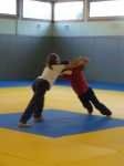 dojo 3.jpg