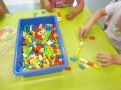 P1660142.jpg
