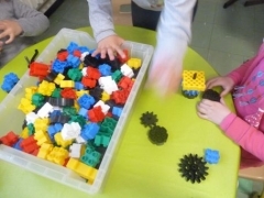 P1650559.jpg