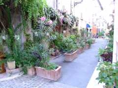 Mouans_Sartoux_-_08.jpg