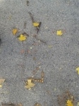 20151113_112024.jpg