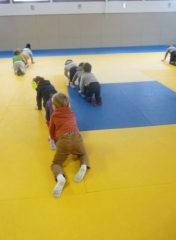 P1640254.jpg