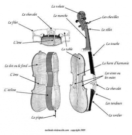 detailoloncelle.jpg