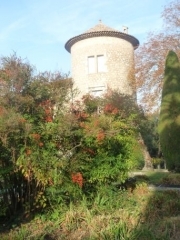 P1620900.jpg
