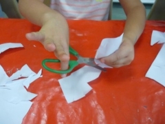 P1550544.jpg