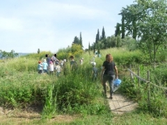 P1600516.jpg