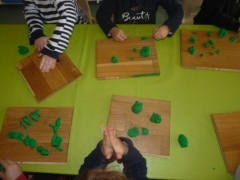P1630346.jpg