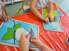 P1520490.JPG