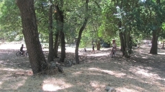 IMG_7853.JPG