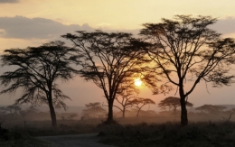 crepuscule-sur-la-savane-20562627-1423745043-ImageGalleryLightbox.jpg