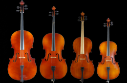 lesPetitVioloncelles.png
