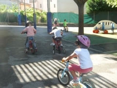 P1520230.jpg