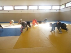 P1640377.jpg