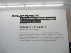 P1630827.jpg