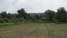IMG_3980.JPG