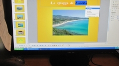 IMG_5800.JPG