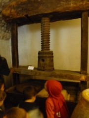 P1500764.jpg