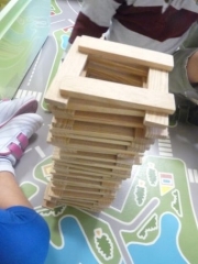 P1560015.jpg