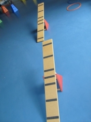 S6300807.jpg