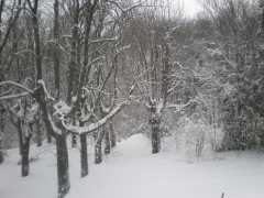 PC011959.JPG