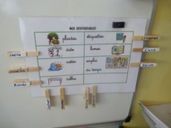 P1620143.jpg