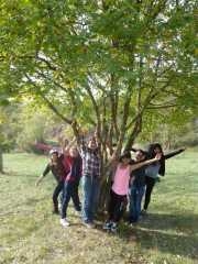 ARBRES HUMAINS.jpg