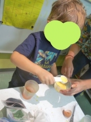 P1620118.jpg