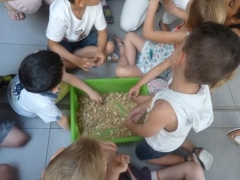 P1600887.jpg