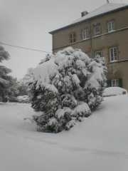 PC011954.JPG