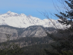 IMG_8188.JPG