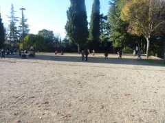 P1570280.jpg
