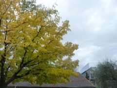 P1570002.jpg