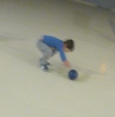 P1570679.jpg