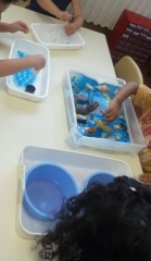 P1600639.jpg