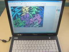 IMG_1253.JPG