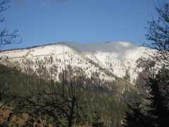 IMG_4059.jpg