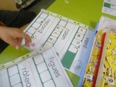P1620547.jpg